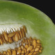 Photo of a honeydew melon