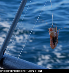 Photo of a baited fish hook.