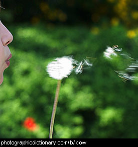 Photo of a girl blowing on a dandelion