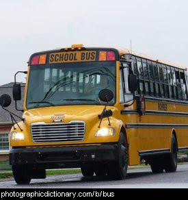 Photo of a yellow school bus