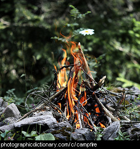 Photo of a campfire