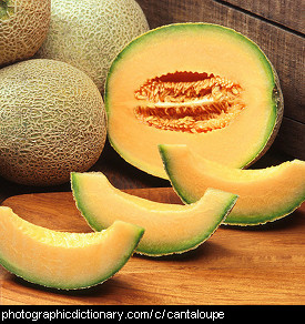 Photo of a cantaloupe