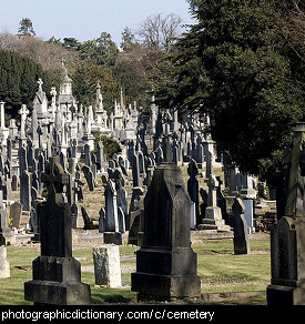 Photo of a cemetery