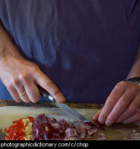 Photo of someone chopping vegetables