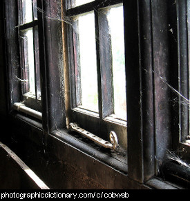 Photo of cobwebs in a window