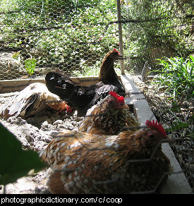 Photo of a chicken coop