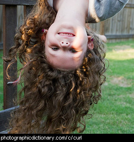 Photo of curly hair