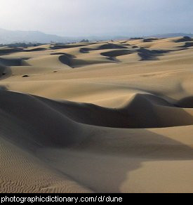 Photo of sand dunes