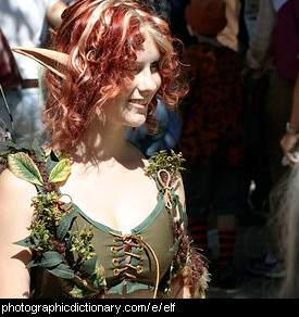 Photo of an elf