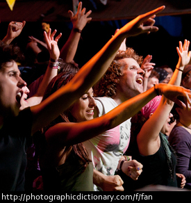 Fans at a concert