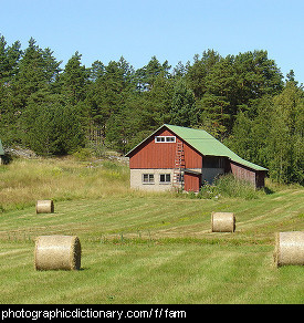 Photo of a farm.