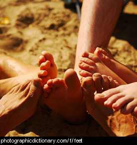 Photo of feet.