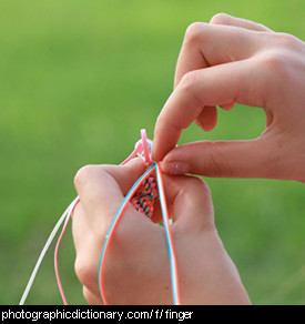 Photo of some hands with fingers.