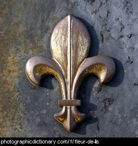 Photo of a Fleur de lis