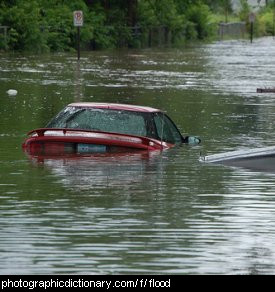 Photo of a flood