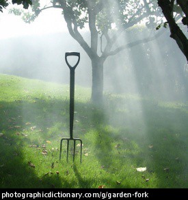 Photo of a garden fork