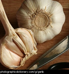 Photo of garlic