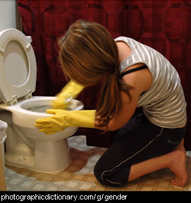 Photo of a woman cleaning a toilet