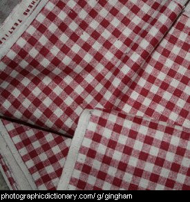 Photo of gingham fabric