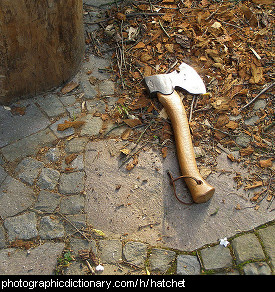 Photo of a hatchet