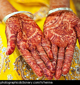 Photo of henna tattoos