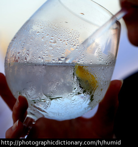 Photo of a cold drink on a humid day