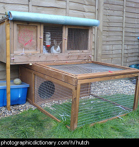 Photo of a rabbit hutch