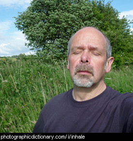 Photo of a man inhaling