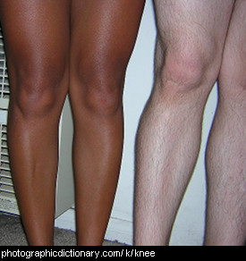 Photo of people's knees.