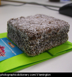 Photo of a lamington