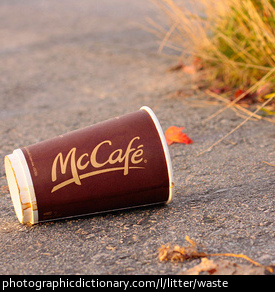 Photo of litter on the sidewalk