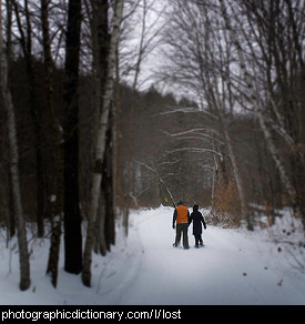 Photo of people lost in the woods