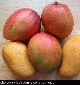 Photo of mango fruit