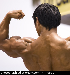 Photo of a man flexing his muscles