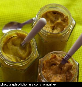 Photo of three jars of mustard