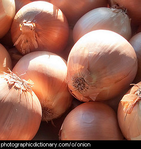 Photo of onions