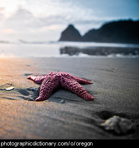 Photo of a beach in Oregon