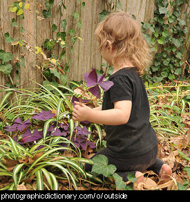 Photo of a little girl playing outside