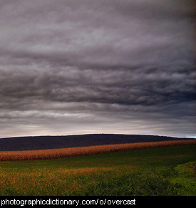 Photo of an overcast sky