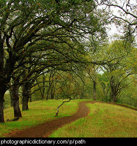 Photo of a winding path.