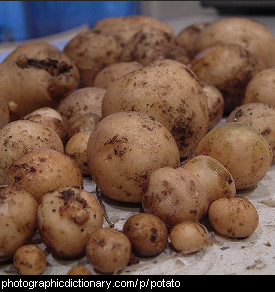 Photo of potatoes