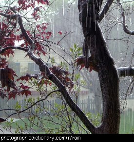 Photo of a rainy day