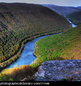 Photo of a river