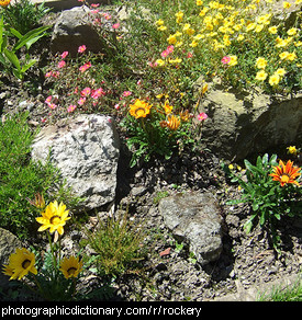 Photo of a rockery