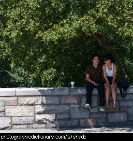 Photo of two people sitting in the shade