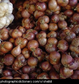 Photo of shallots