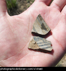 Photo of pottery shards