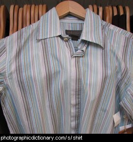 Photo of a shirt