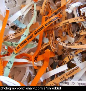 Photo of shredded paper.