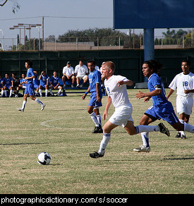 Photo of a soccer game